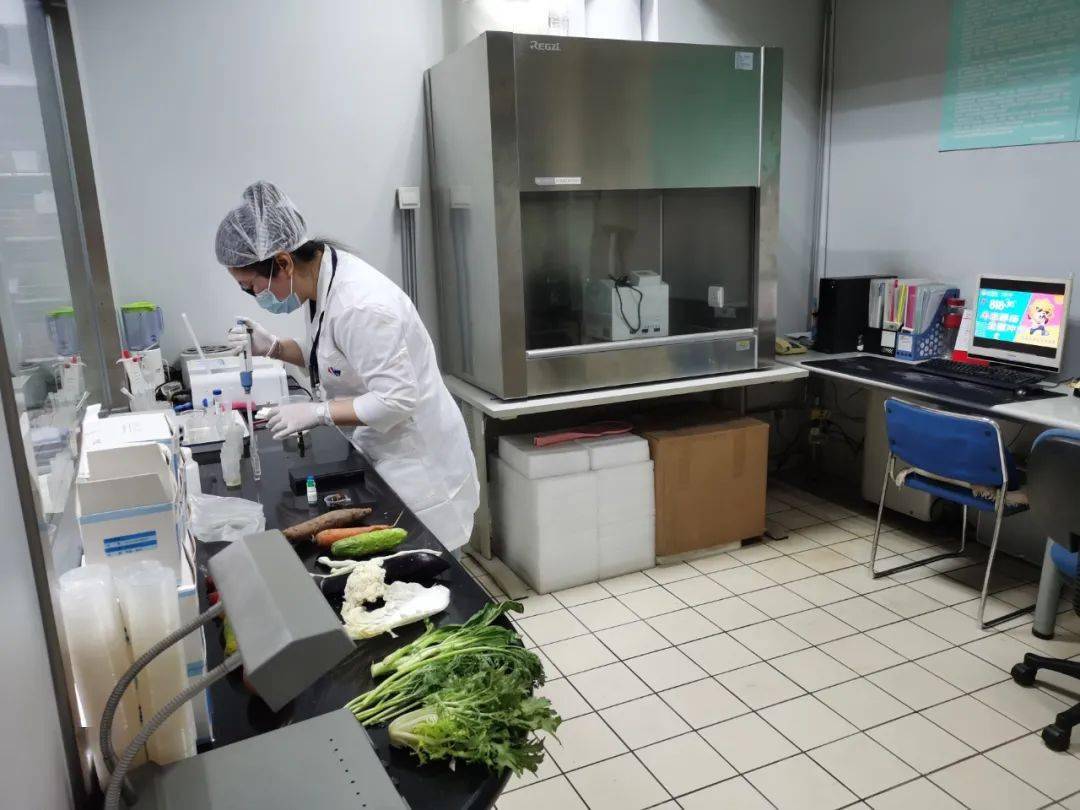 大庆食品检测实验室装修方案